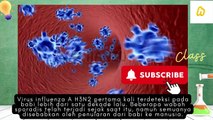 Apa itu virus influenza Tipe A subtipe H3N2