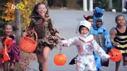 How to Keep Your Pets Safe This Halloween!