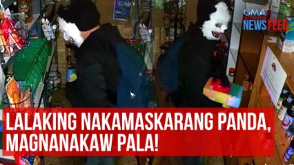 Descargar video: Lalaking nakamaskarang panda, magnanakaw pala! | GMA Integrated Newsfeed