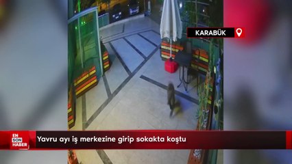 Yavru ayı iş merkezine girip sokakta koştu