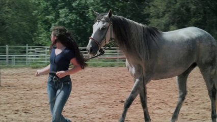 In Memory of Anne Heche Wildfire Music Video