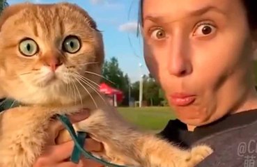 Hulvattomat Elävideoit: Koiria, kissoja, hevosia ja enemmän! 🐾