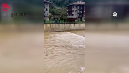 Dereye düşen karaca kurtarılıp doğaya salındı