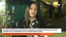 Los mini jardines de suculentas llamaron la atención durante la Fiesta Nacional de la Orquídea y de la Flor en Montecarlo