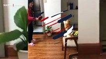 Sahibi ile tenis oynayan yetenekli kedi kahkahaya boğdu