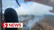 About 23ha of Kota Tinggi forest fire doused, says Bomba