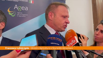 Manovra, Lollobrigida "Ci sarà la giusta modulazione in Parlamento"