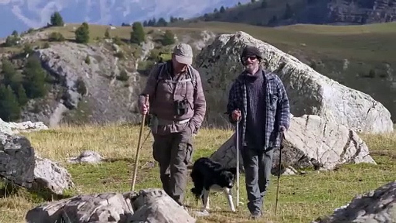 Marche avec les loups
