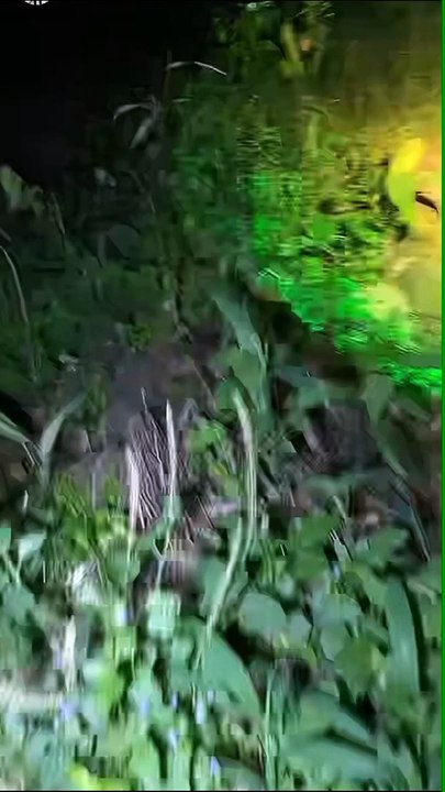 Paranormal activity ghost on camera part 244