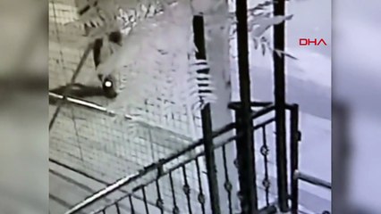 Denizli'de Hırsızlık Operasyonu: 4 İş Yerinden Hırsızlık Yapan Şüpheliler Yakalandı