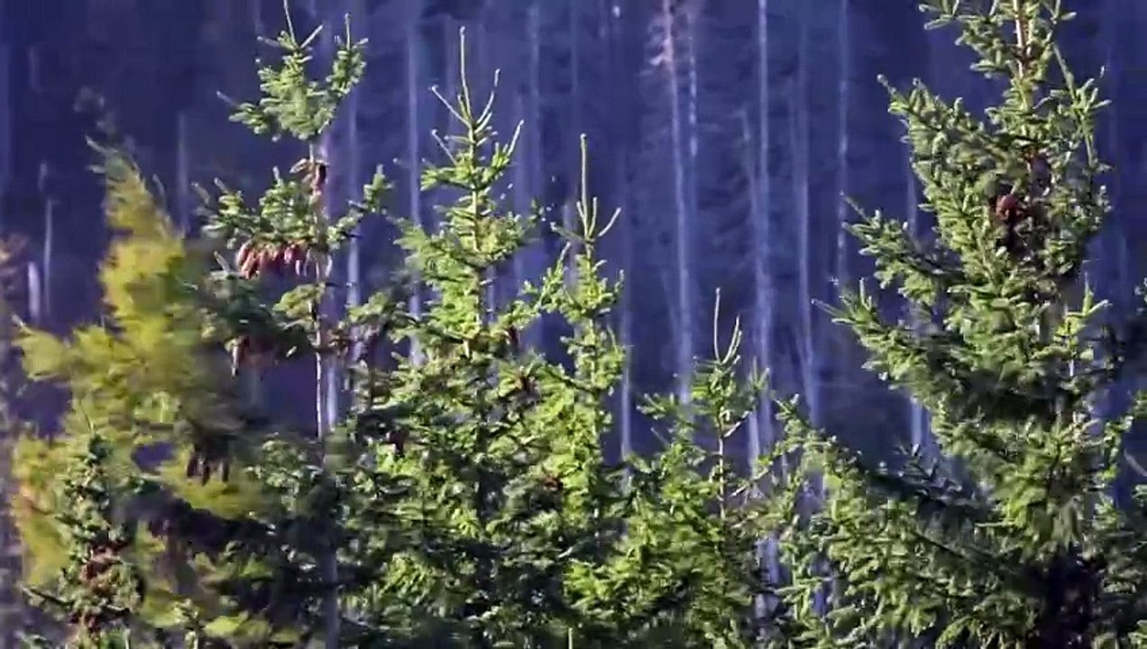 Zakopane - Tatry - nadchodzi załamanie pogody, ostrzeżenie dla turystów