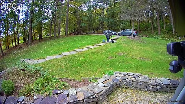 Un nouveau chiot fait tomber papa des pieds