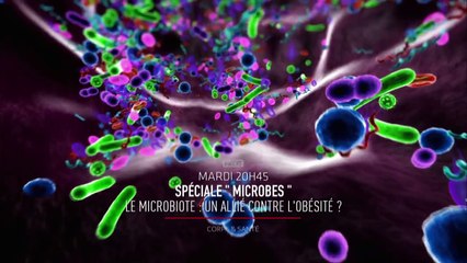 Le microbiote : un allié contre l'obésité ?