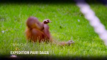 Expédition Pairi Daiza