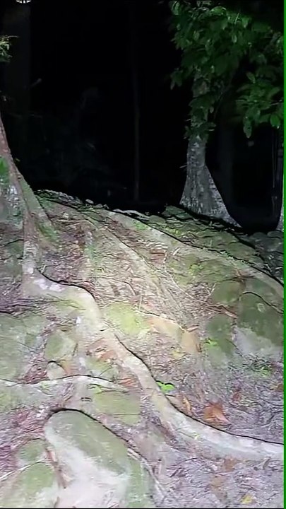 Paranormal activity ghost on camera part 253