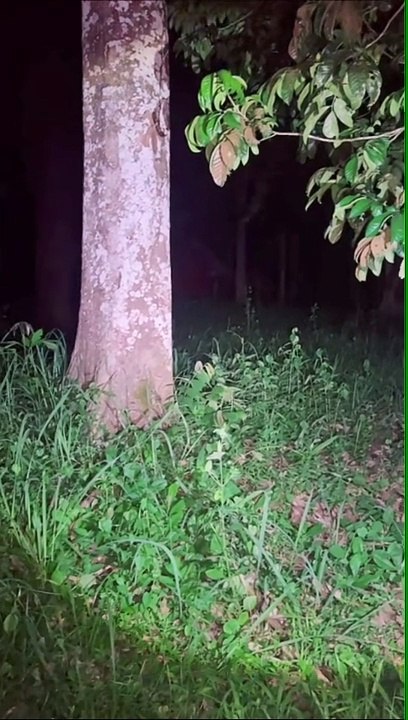 Paranormal activity ghost on camera part 255