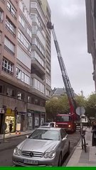 Los bomberos intervienen ante un desprendimiento de cascotes en la calle Santa Clara
