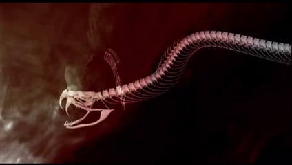 Metal Gear Solid 3: Snake Eater - HD Collection | Opening Video