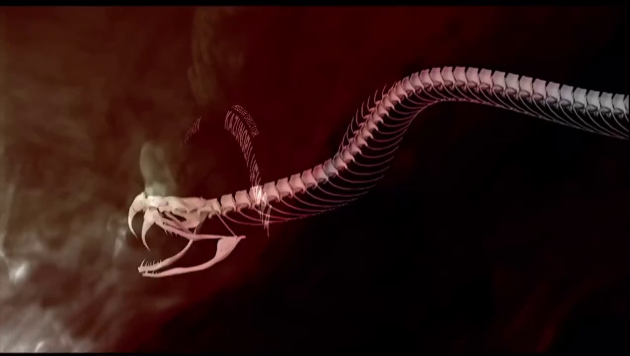 Metal Gear Solid 3: Snake Eater - HD Collection | Opening Video