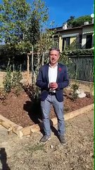 Firenze, All'Anna Frank il terzo bosco didattico del Quartiere 4