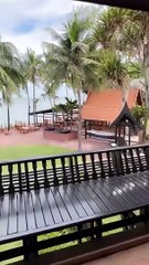 هيفاء ماجيك