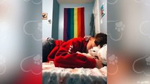 Cute CATS Won't Sleep Until They Cuddles with Their Human  - Cute Cats And Owners Sleep Together
