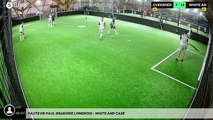 Faute de Paul Grégoire LONGROIS - WHITE AND CASE