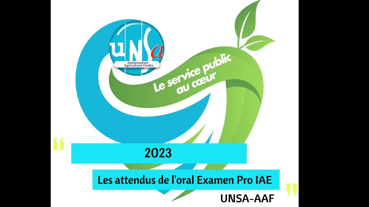 2023-exam-pro-IAE