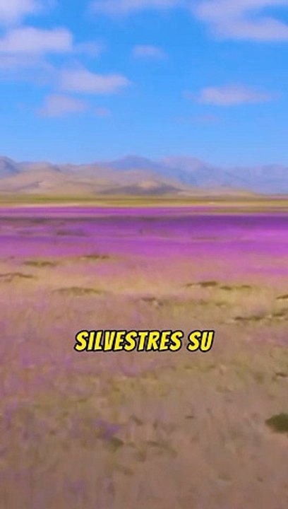 Las Curiosidades del Desierto de Atacama