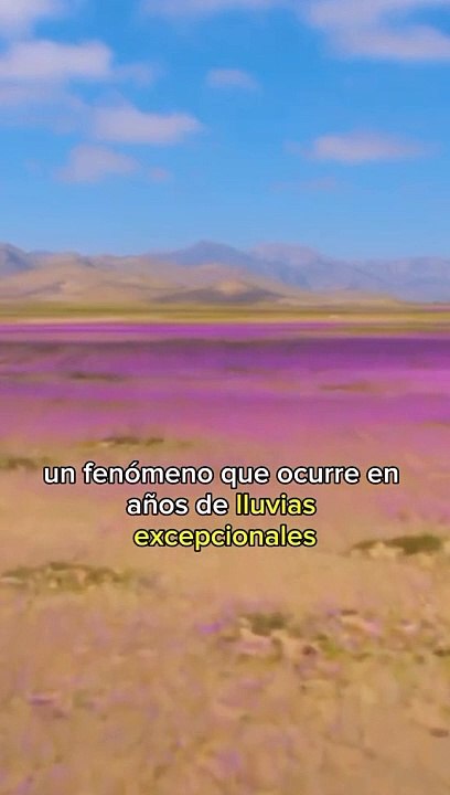Estas son las Curiosidades del Desierto de Atacama