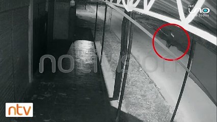 Cámaras captan a los dos asesinos de una mujer que fue baleada por un teléfono