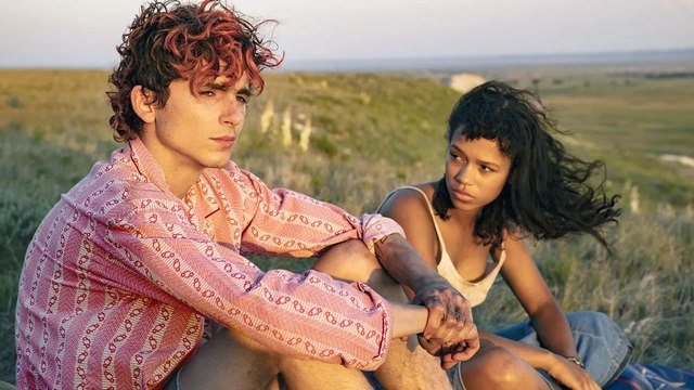 Timothée Chalamet Calls Armie Hammer Allegations Disorienting While Making Cannibal Love Story 'Bones and All' | THR News Video