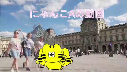 にゃんこのすっぽん鍋