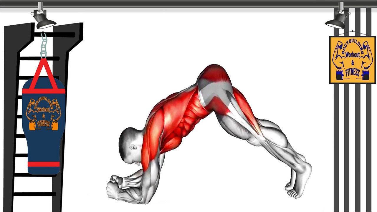 Do These Exercises to Lose Weight and Tone Your Muscles - The Best  Lose Weight Workout