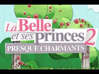 La Belle et ses princes (W9) : un ancien candidat mis en examen pour trafic de drogue !