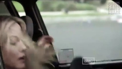 The Walking Dead: Torn Apart | show | 2011 | Official Trailer