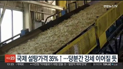 국제 설탕가격 35%↑…당분간 강세 이어질 듯