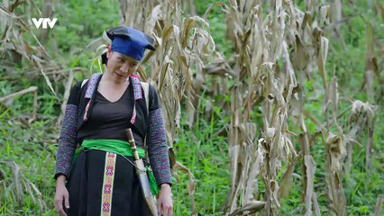 Cuộc Chiến Không Giới Tuyến - Tập 25