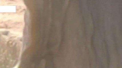 गाजियाबाद: पार्क के पेड़ पर रेंगता नजर आया जहरीला सांप, लोगों में दहशत