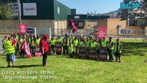 Dairy workers strike, October 18, 2023, The Border Mail