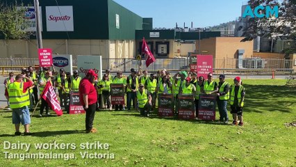 Dairy workers strike, October 18, 2023, The Border Mail