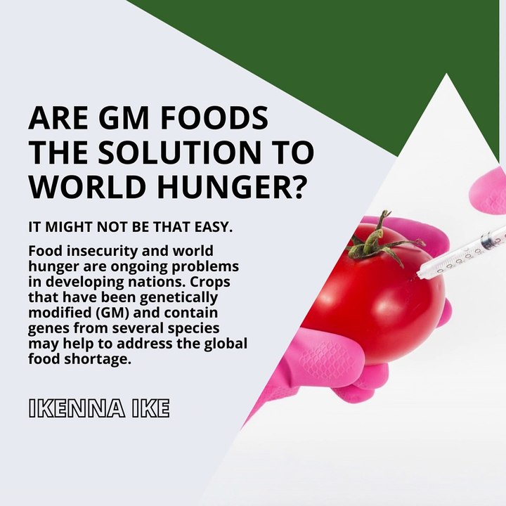 | IKENNA IKE | ARE GM FOODS THE SOLUTION TO WORLD HUNGER? IT MIGHT NOT BE THAT EASY (PART 1) (@IKENNAIKE)