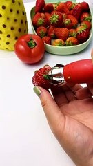 Video Konten Terlaris (1725)