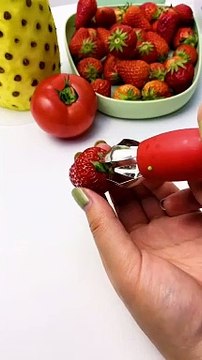 Video Konten Terlaris (1725)