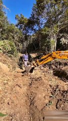 See how it took five months to open up barren hills and plant a whole ecological tea garden. @抖音小助手