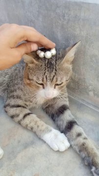 3 hairpins DIY #creativefatimaakram #youtubeshorts #shorts #art #crafts