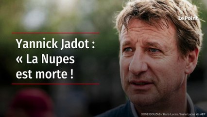 EXCLUSIF. Yannick Jadot : « La Nupes est morte ! »