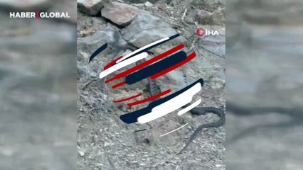 Yer Eskişehir: Kış uykusuna yatmak için fellik fellik yuva arayan 2 metrelik yılan görüntülendi