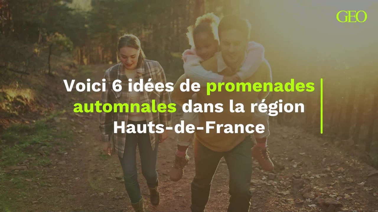 Voici 6 idées de promenades automnales dans la région Hauts-de-France