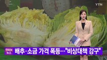 [YTN 실시간뉴스] 배추·소금 가격 폭등...
